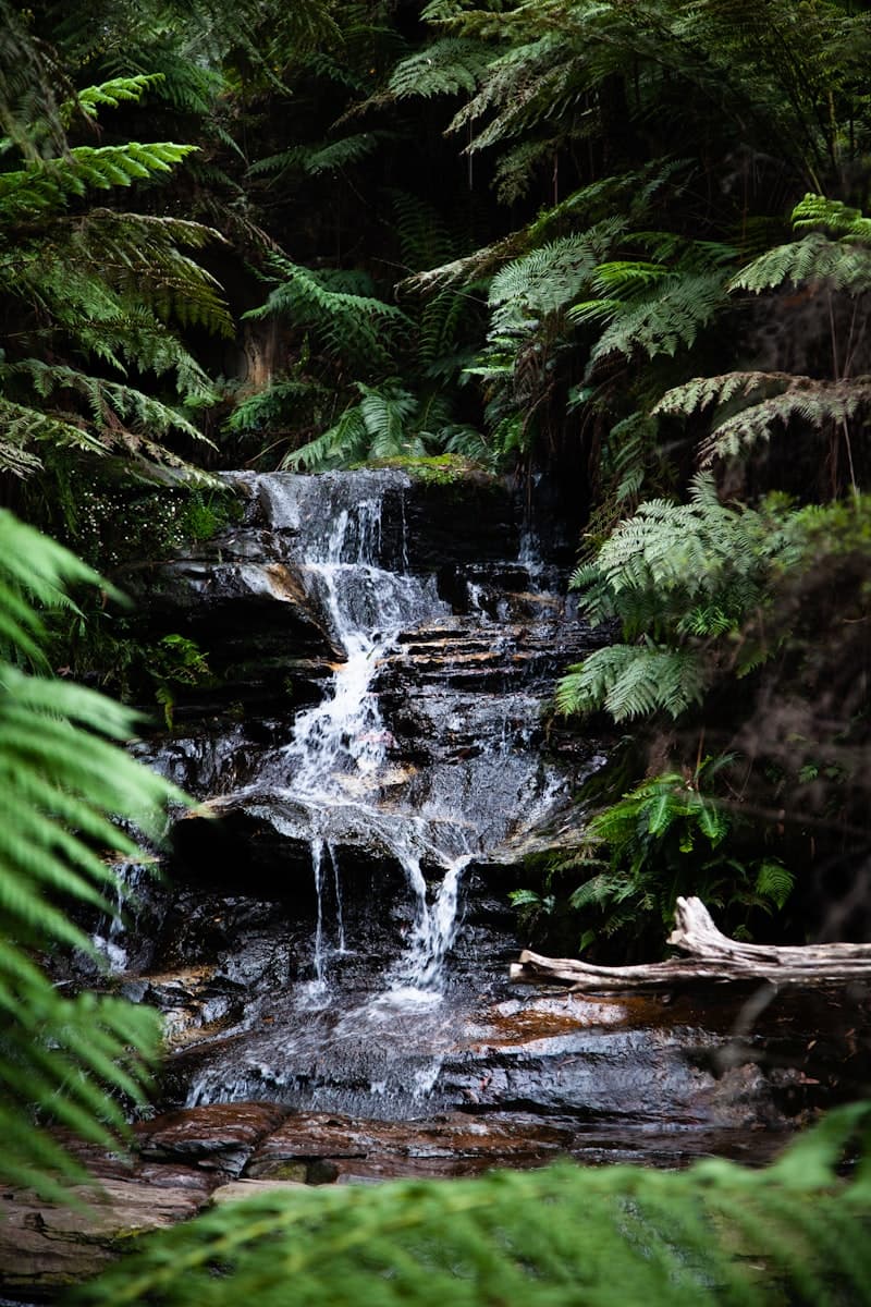 Waterfalls